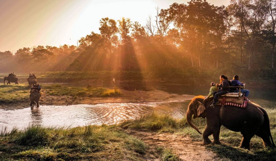 Elephant Back Safari Inside Chitwan National Park, Nepal tour package