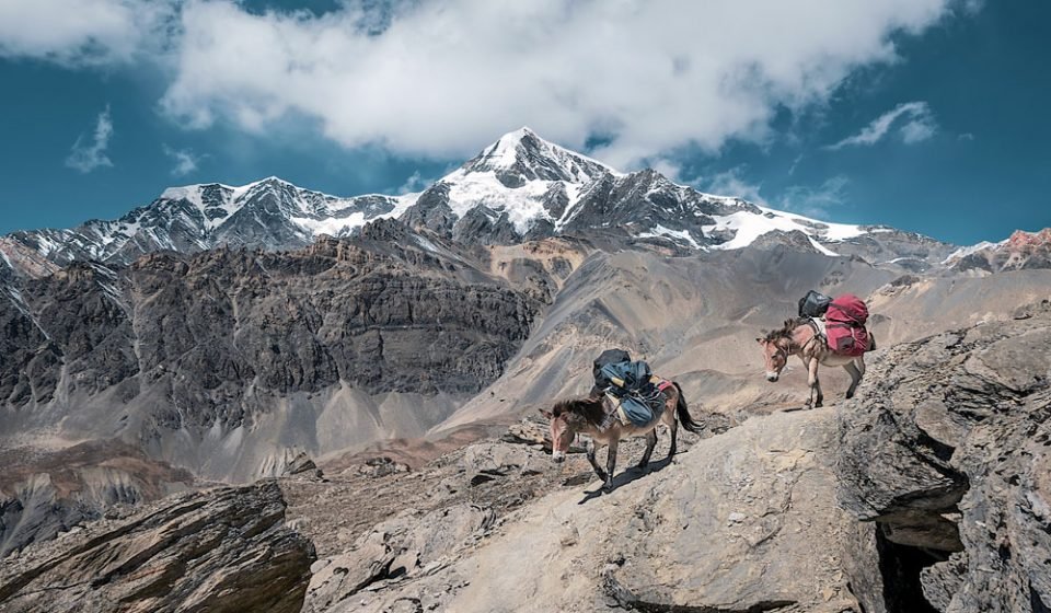 Trekking In The Himalayas Of Nepal