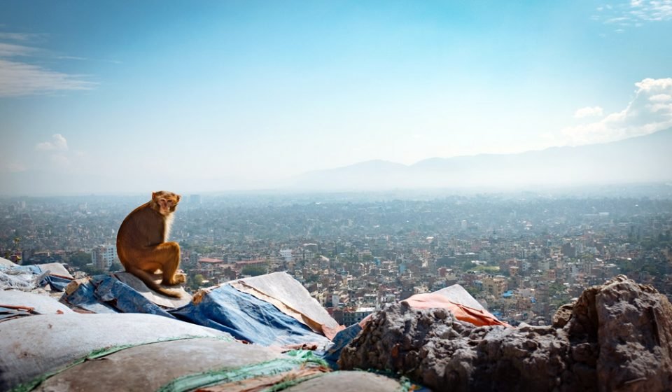 Bird's Eye View Of Kathmandu Valley From Swayambhunath Stupa