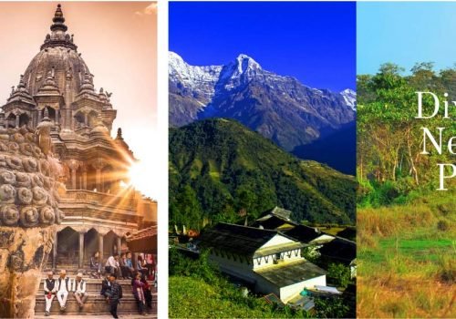 Diversity in Nepal tour packages